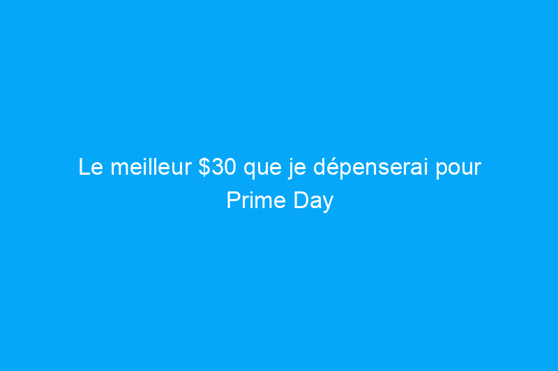 Le meilleur $30 que je dépenserai pour Prime Day est pour un anti-moustique