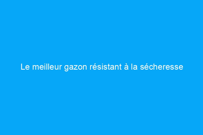 Le meilleur gazon résistant à la sécheresse pour les étés secs