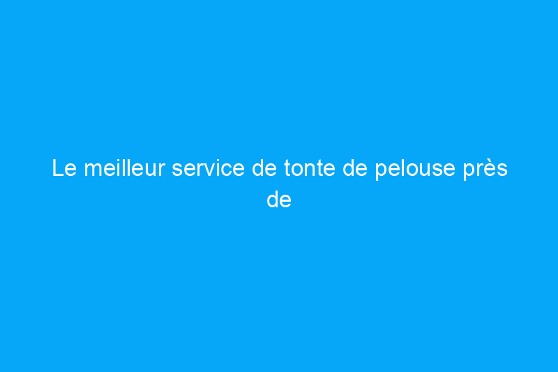 Le meilleur service de tonte de pelouse près de chez moi : comment embaucher le meilleur service de tonte de pelouse en fonction du coût, du problème et d'autres considérations