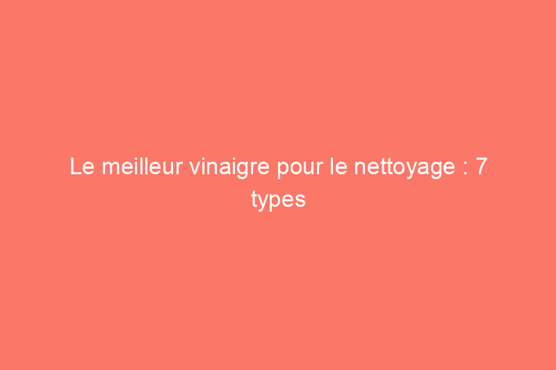 Le meilleur vinaigre pour le nettoyage : 7 types de vinaigre que tout bricoleur devrait connaître