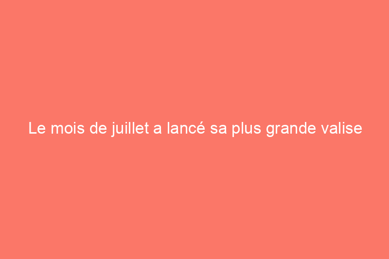 Le mois de juillet a lancé sa plus grande valise à main jamais conçue pour les voyages intérieurs