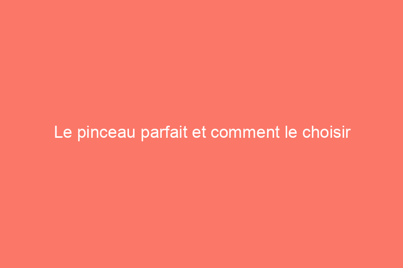 Le pinceau parfait et comment le choisir