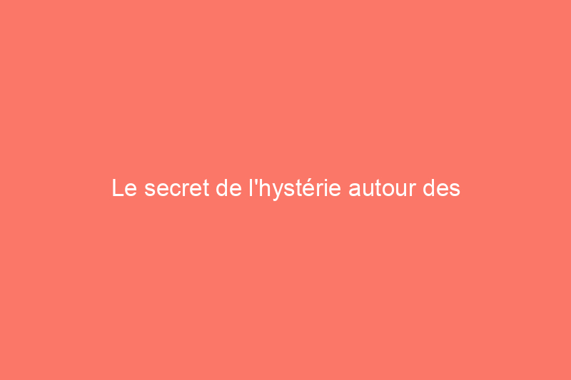 Le secret de l'hystérie autour des hortensias qui secoue le Nord-Est