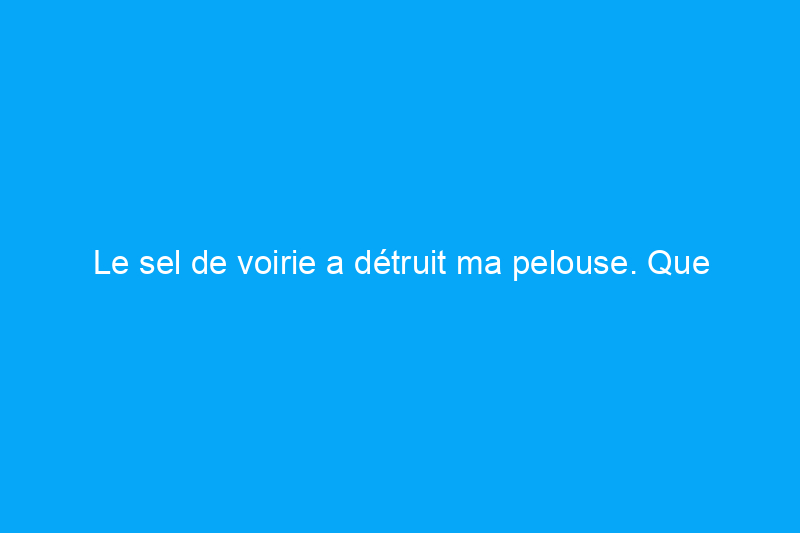 Le sel de voirie a détruit ma pelouse. Que puis-je faire pour la sauver ? 