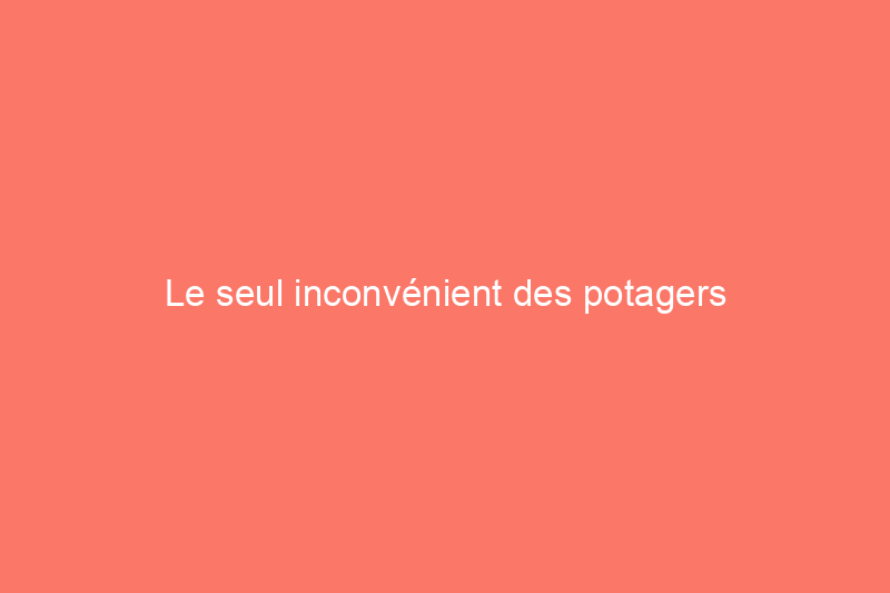 Le seul inconvénient des potagers d'arrière-cour que la plupart des nouveaux jardiniers négligent