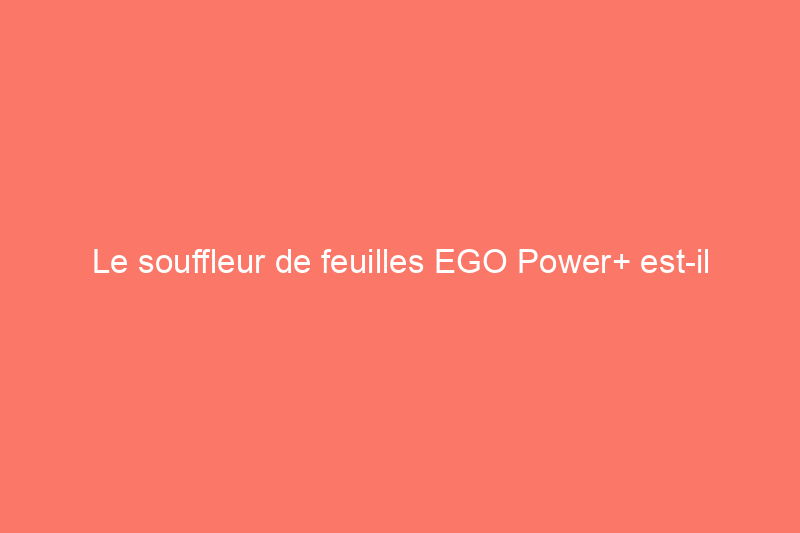 Le souffleur de feuilles EGO Power+ est-il suffisamment puissant pour le nettoyage d’automne ?