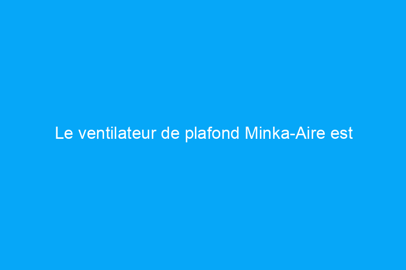 Le ventilateur de plafond Minka-Aire est impressionnant, mais vaut-il le coup ? Un avis vérifié