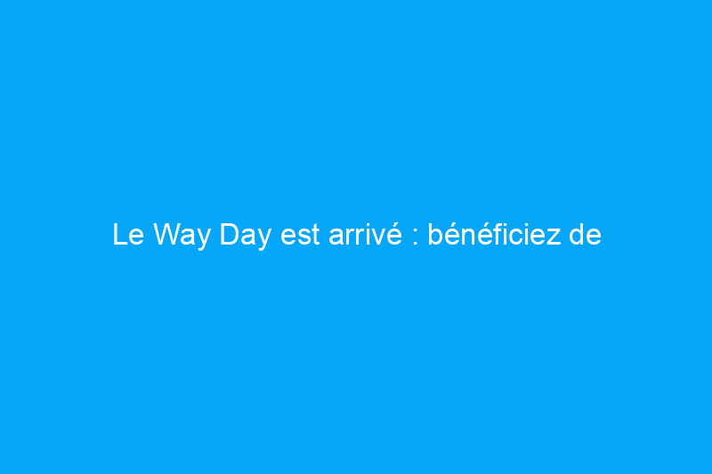 Le Way Day est arrivé : bénéficiez de réductions allant jusqu'à 80% sur les appareils électroménagers, les meubles, les décorations de Noël et plus encore