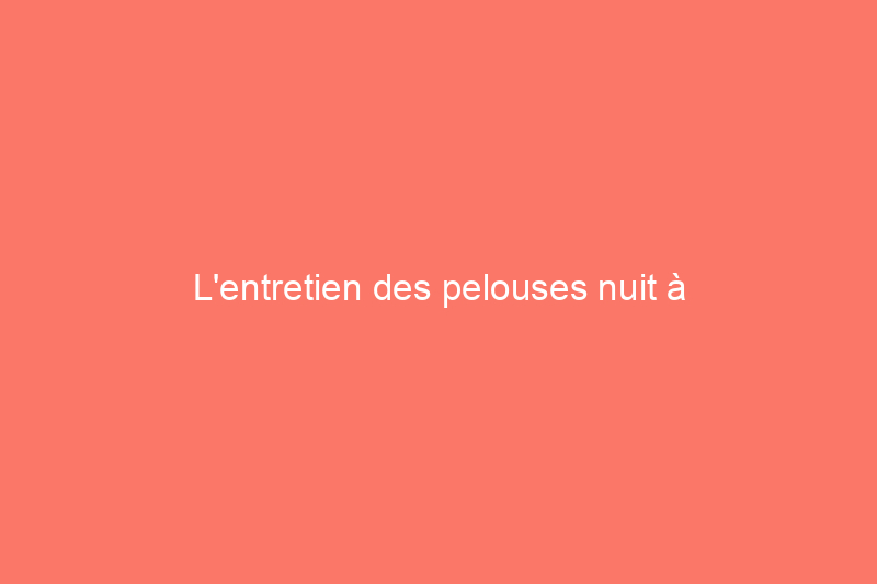 L'entretien des pelouses nuit à l'environnement : voici comment nous pouvons faire mieux