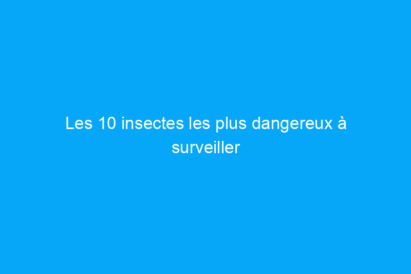 Les 10 insectes les plus dangereux à surveiller cet été