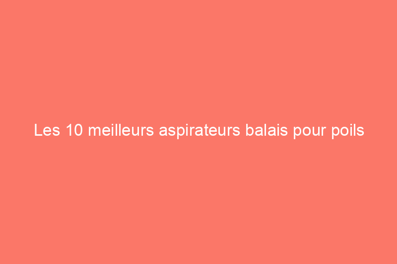 Les 10 meilleurs aspirateurs balais pour poils d'animaux pour éliminer les poils en toute simplicité