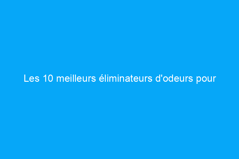 Les 10 meilleurs éliminateurs d'odeurs pour lutter contre les odeurs tenaces dans chaque pièce