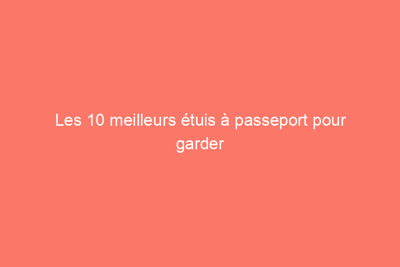 Les 10 meilleurs étuis à passeport pour garder vos documents de voyage en sécurité