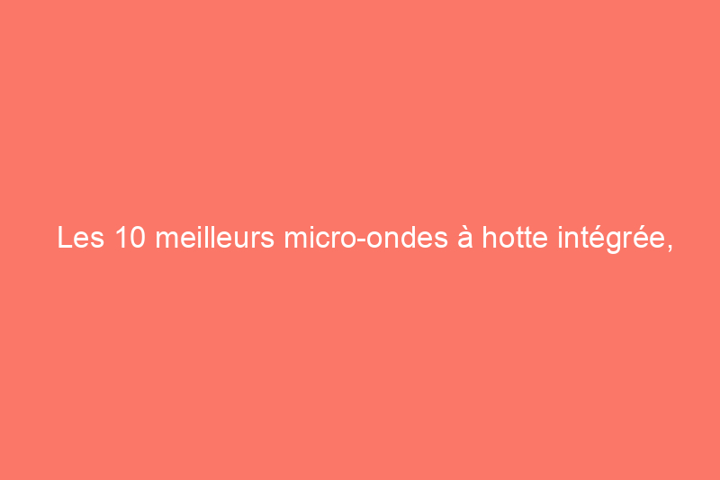 Les 10 meilleurs micro-ondes à hotte intégrée, examinés