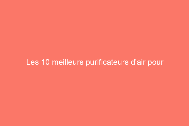 Les 10 meilleurs purificateurs d'air pour l'air frais, testés