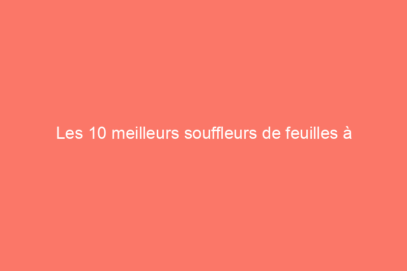 Les 10 meilleurs souffleurs de feuilles à batterie pour faciliter le travail dans le jardin