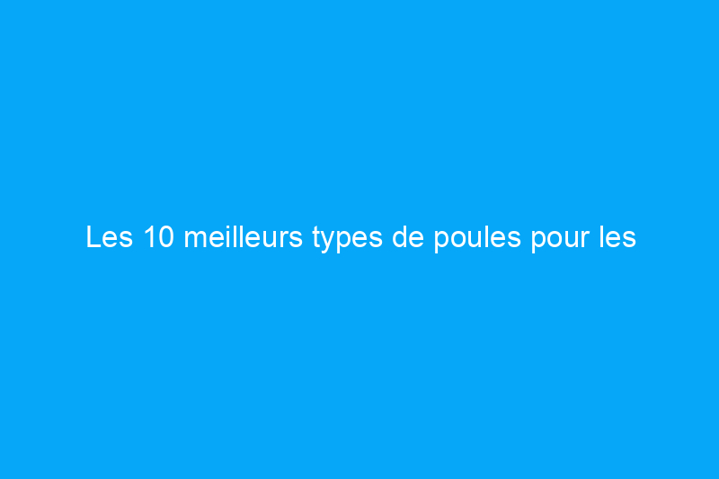 Les 10 meilleurs types de poules pour les poulaillers de jardin