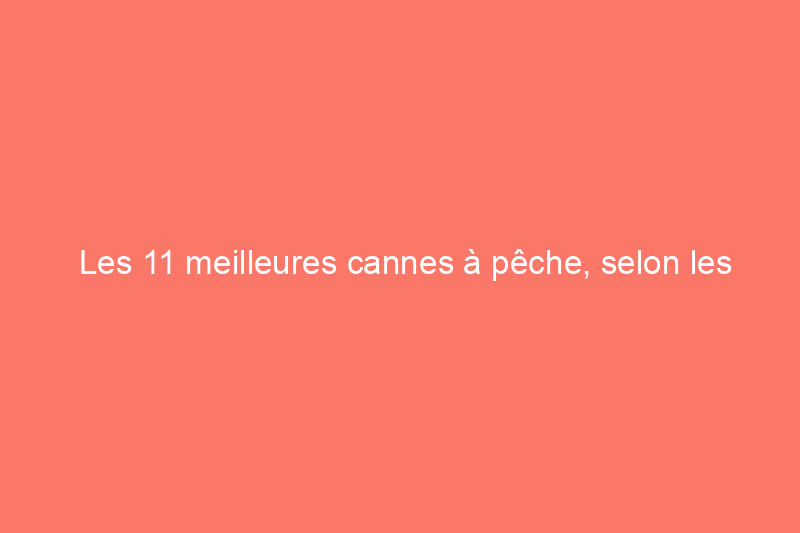 Les 11 meilleures cannes à pêche, selon les pêcheurs