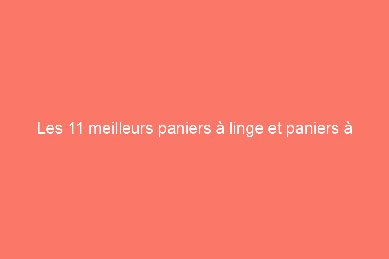 Les 11 meilleurs paniers à linge et paniers à linge de 2024, testés et évalués