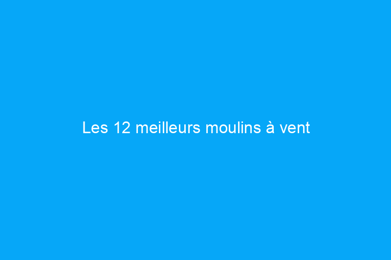 Les 12 meilleurs moulins à vent