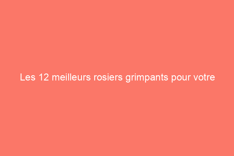 Les 12 meilleurs rosiers grimpants pour votre treillis de jardin, votre tonnelle ou votre pergola