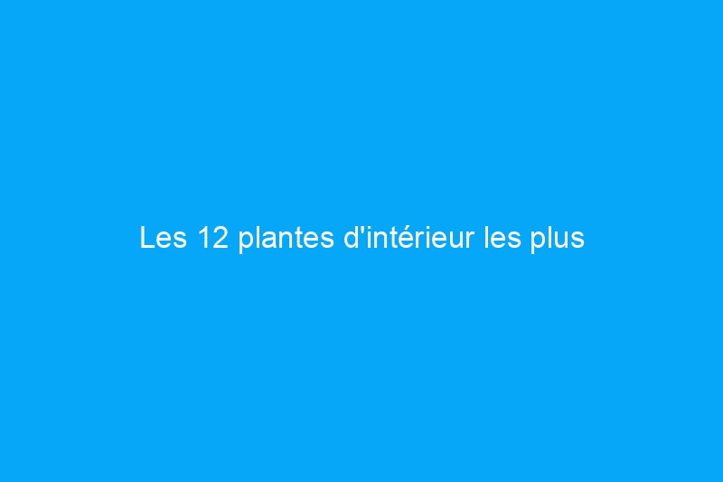 Les 12 plantes d'intérieur les plus tendance pour votre bureau à domicile, selon les masses