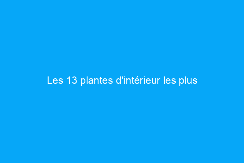 Les 13 plantes d'intérieur les plus effrayantes que vous ayez jamais vues