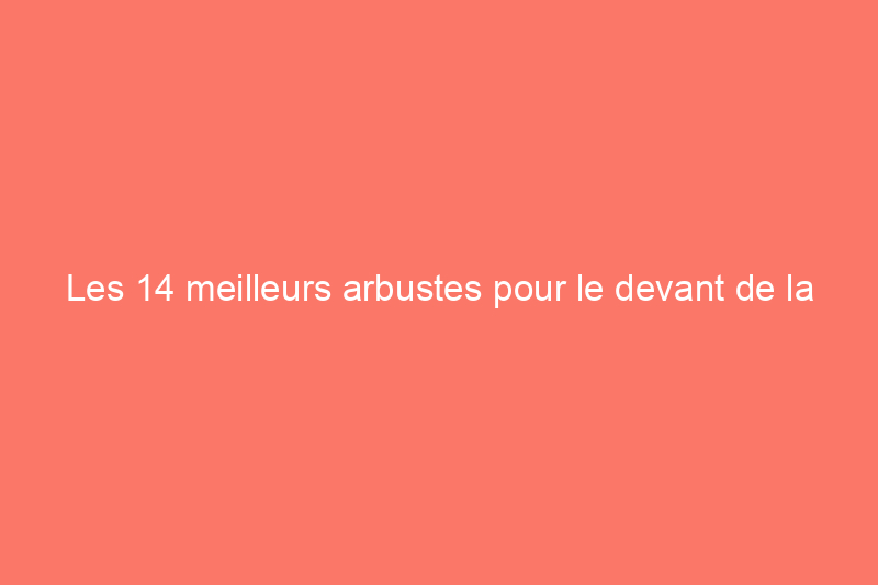 Les 14 meilleurs arbustes pour le devant de la maison