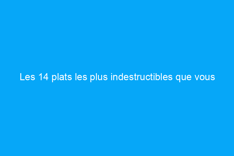 Les 14 plats les plus indestructibles que vous pouvez acheter