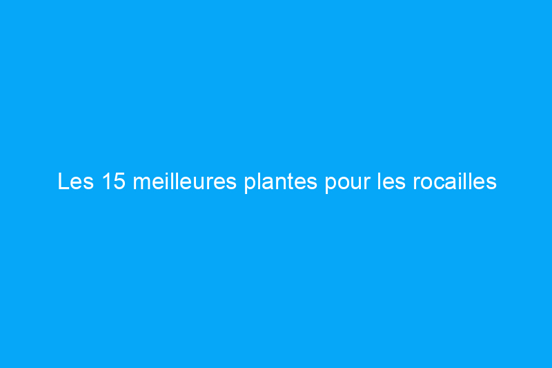 Les 15 meilleures plantes pour les rocailles