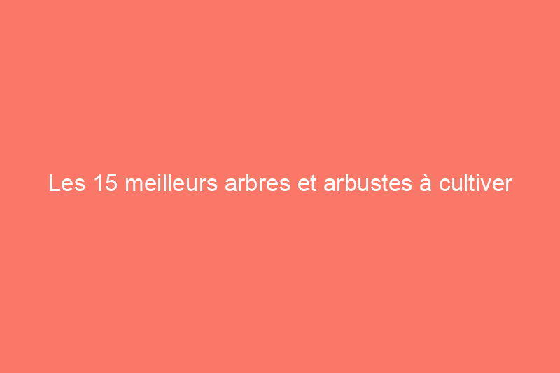 Les 15 meilleurs arbres et arbustes à cultiver pour préserver l'intimité de votre jardin