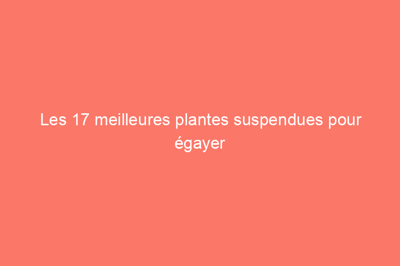 Les 17 meilleures plantes suspendues pour égayer n'importe quel espace