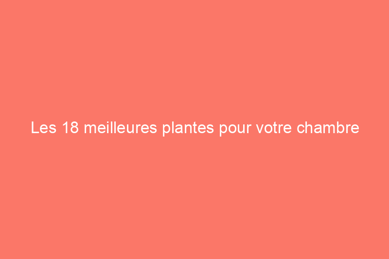 Les 18 meilleures plantes pour votre chambre