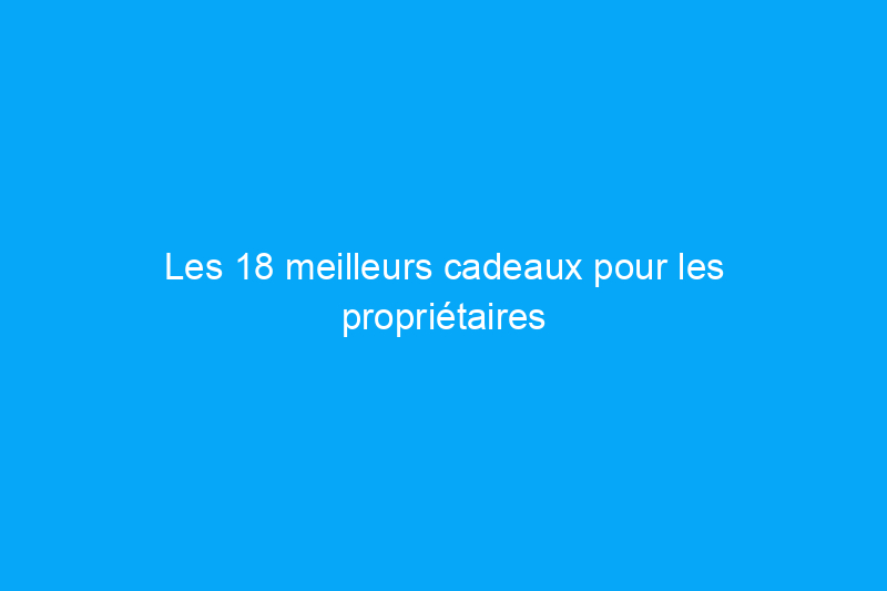 Les 18 meilleurs cadeaux pour les propriétaires de piscine – Approuvé par l’éditeur