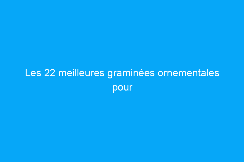 Les 22 meilleures graminées ornementales pour ajouter du caractère à votre propriété