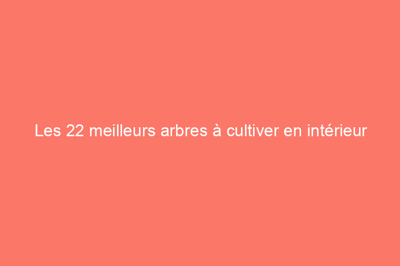 Les 22 meilleurs arbres à cultiver en intérieur