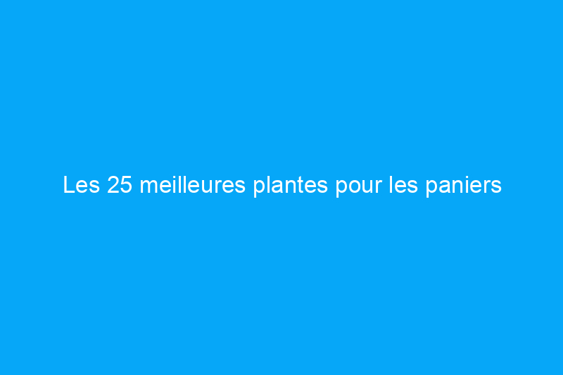 Les 25 meilleures plantes pour les paniers suspendus