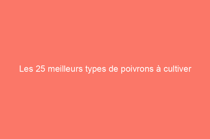 Les 25 meilleurs types de poivrons à cultiver pour les jardiniers débutants