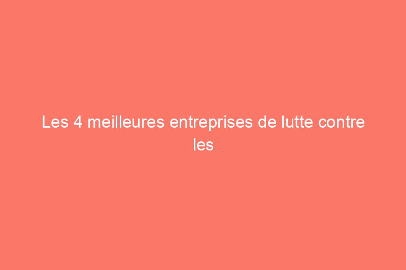 Les 4 meilleures entreprises de lutte contre les termites de 2024