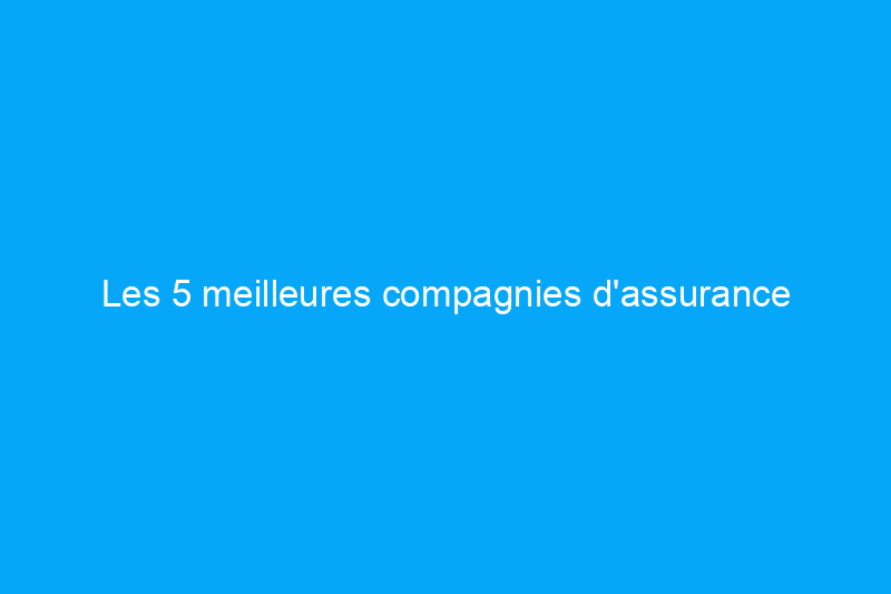 Les 5 meilleures compagnies d'assurance locataire pour les propriétaires d'animaux de compagnie