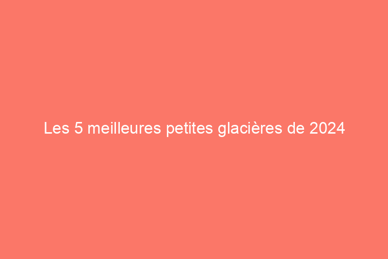 Les 5 meilleures petites glacières de 2024 prouvent que plus grand n'est pas toujours mieux