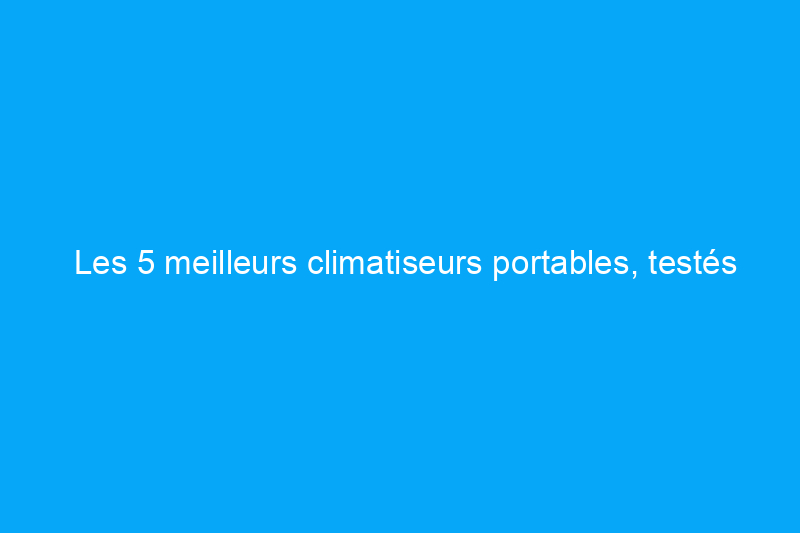 Les 5 meilleurs climatiseurs portables, testés dans la chaleur étouffante de la Floride