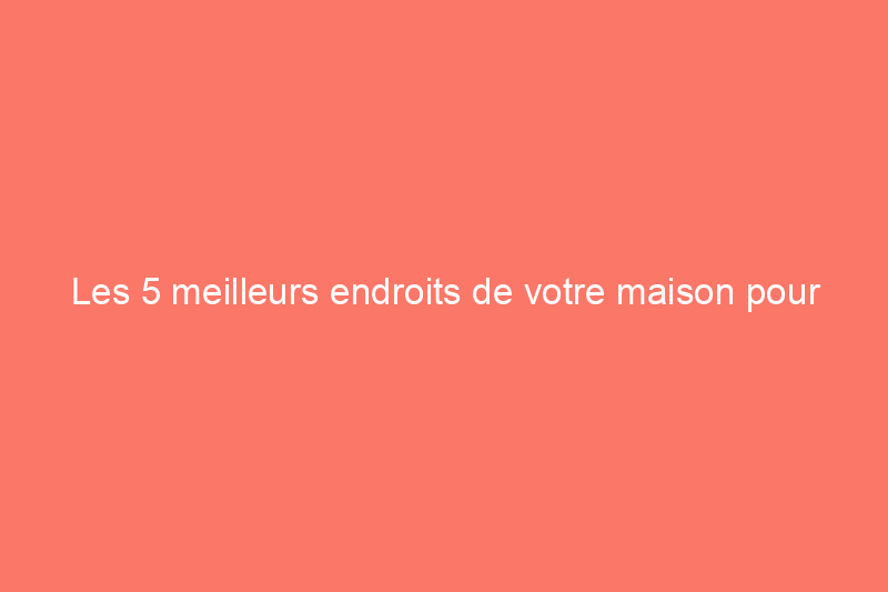 Les 5 meilleurs endroits de votre maison pour faire pousser des plantes