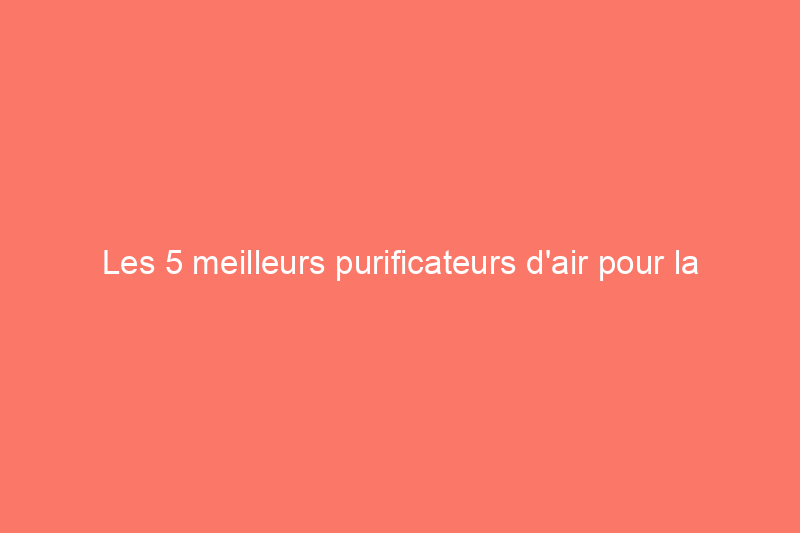 Les 5 meilleurs purificateurs d'air pour la fumée pour vous aider à mieux respirer