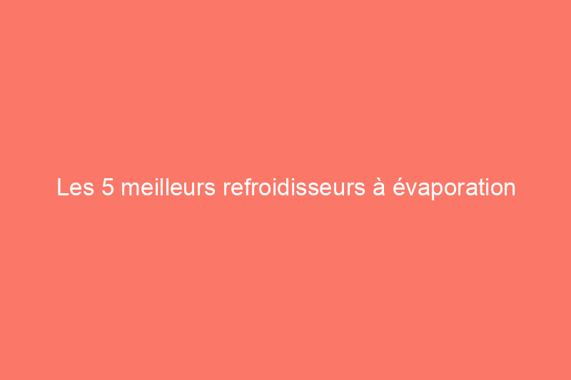 Les 5 meilleurs refroidisseurs à évaporation pour rafraîchir votre espace pendant la vague de chaleur