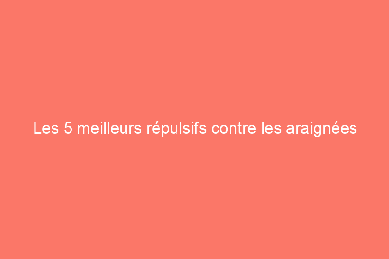 Les 5 meilleurs répulsifs contre les araignées pour éloigner les bestioles effrayantes