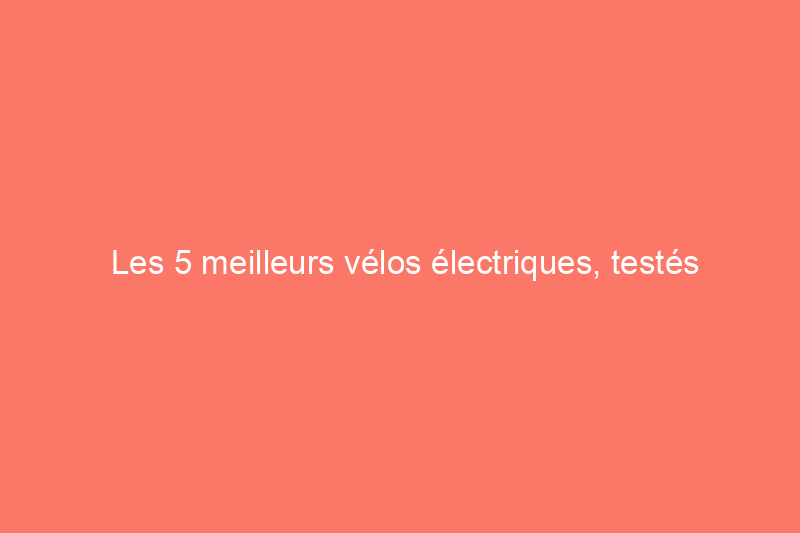 Les 5 meilleurs vélos électriques, testés depuis plus d'un an