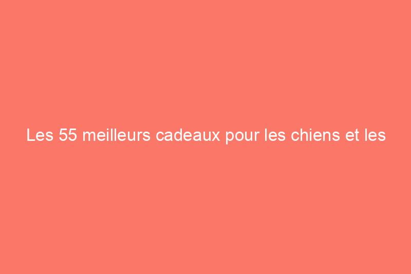 Les 55 meilleurs cadeaux pour les chiens et les amoureux des chiens de 2024