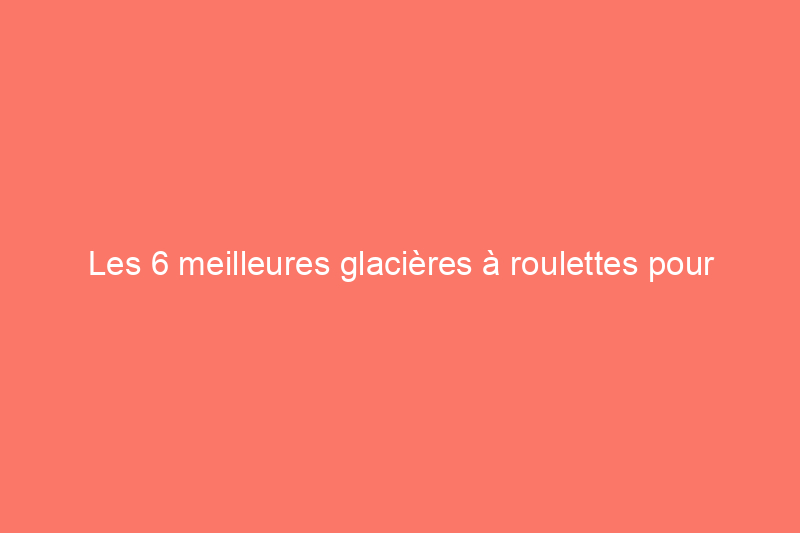 Les 6 meilleures glacières à roulettes pour vous aider à vous détendre pendant vos déplacements