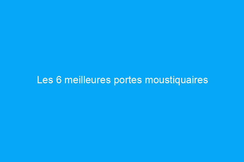 Les 6 meilleures portes moustiquaires magnétiques de 2024 pour empêcher les insectes d'entrer, testées